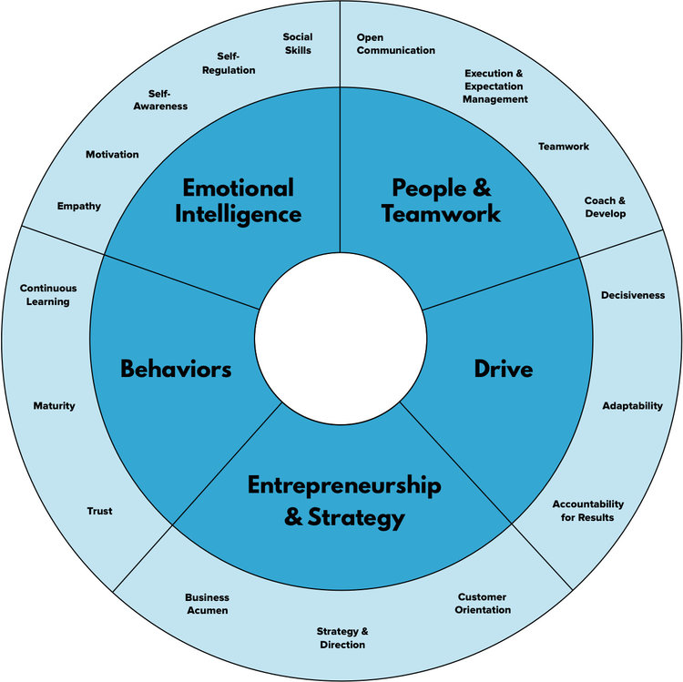 Customer success job: skills