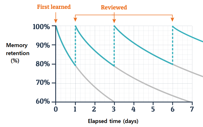 Ebinghaus Learning Curve - image